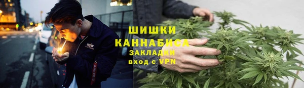 ГАЛЛЮЦИНОГЕННЫЕ ГРИБЫ Богородск