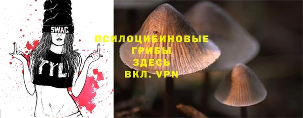 ГАЛЛЮЦИНОГЕННЫЕ ГРИБЫ Богородск