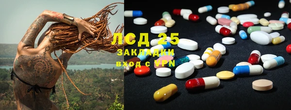 ГАЛЛЮЦИНОГЕННЫЕ ГРИБЫ Богородск